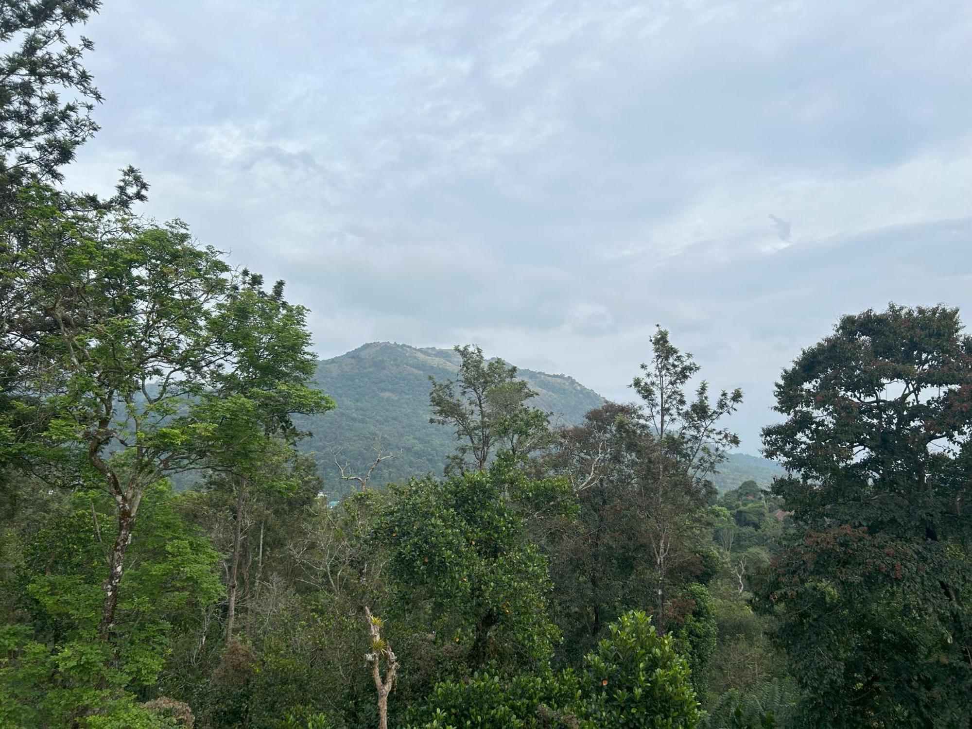 Sylvan Resort Wayanad Esterno foto