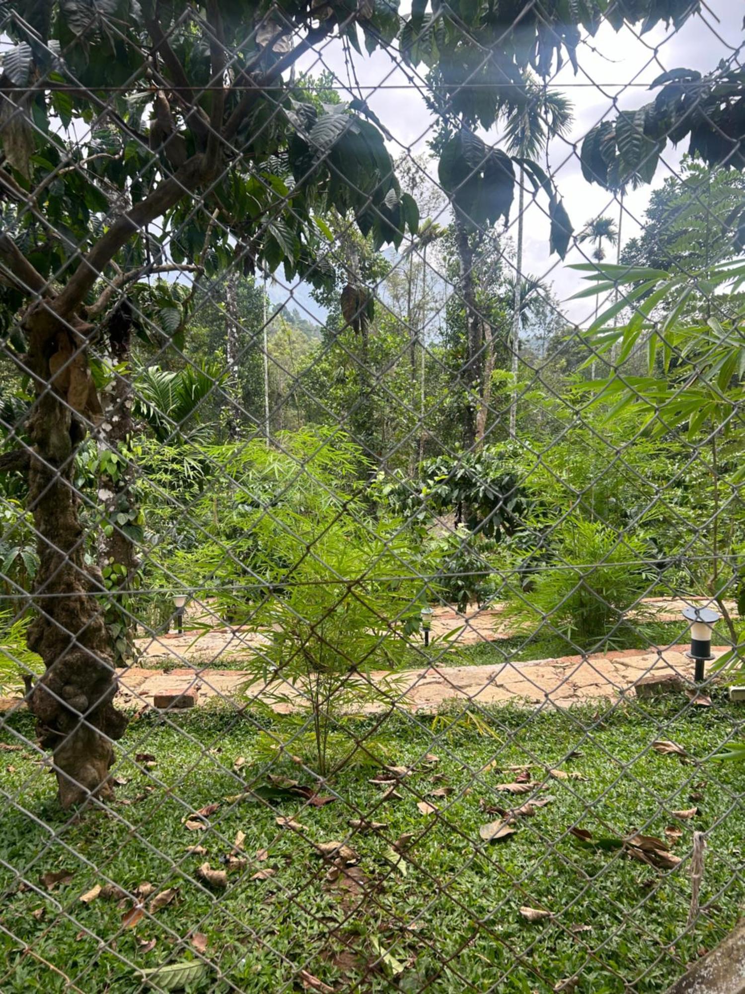 Sylvan Resort Wayanad Esterno foto