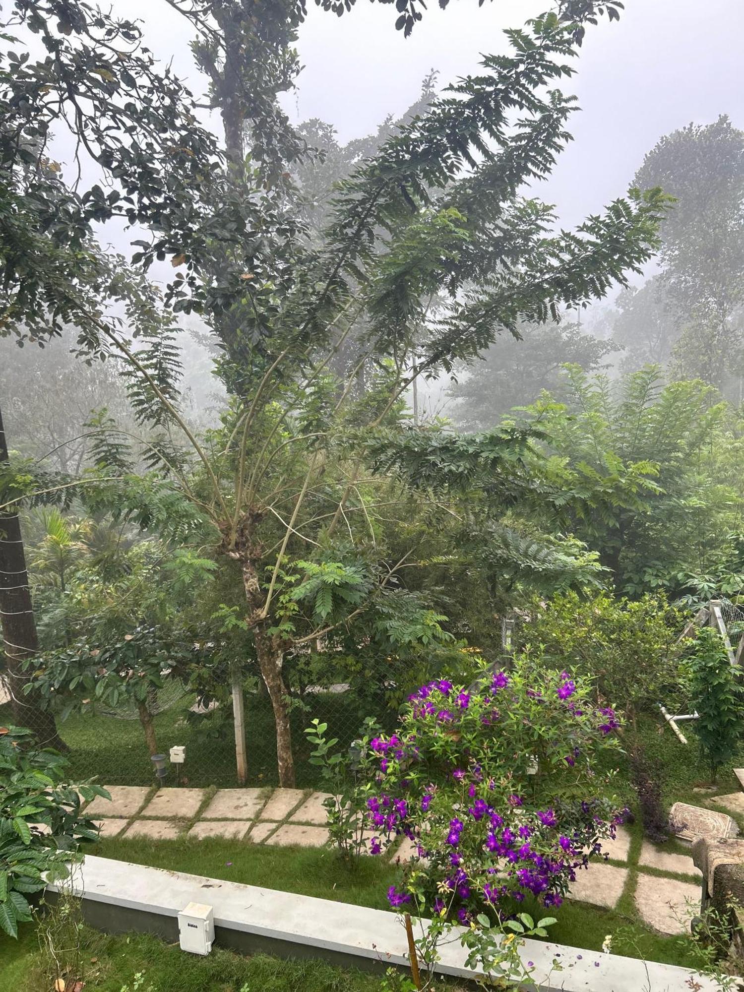 Sylvan Resort Wayanad Esterno foto